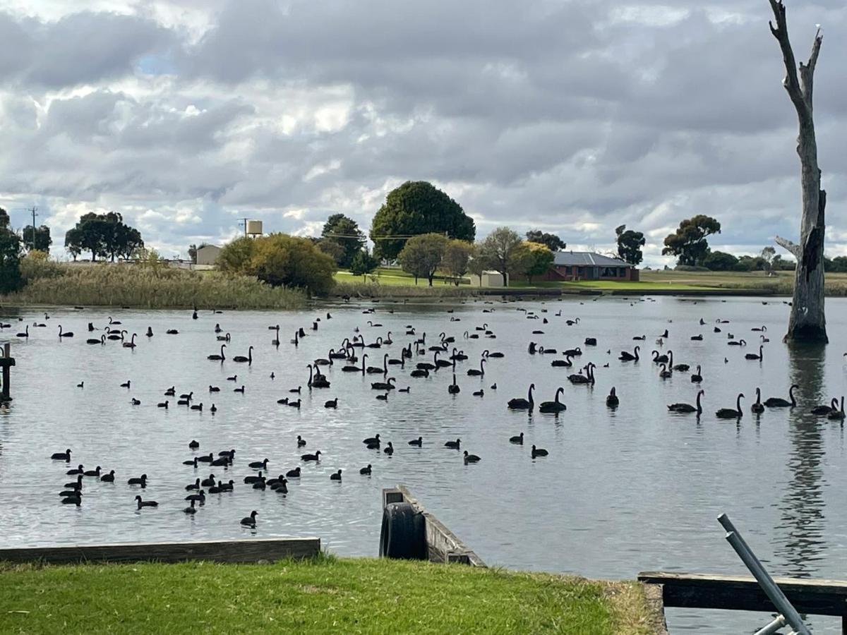 Tasman Holiday Parks - Lake Mulwala Kültér fotó